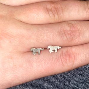 Sterling silver earrings